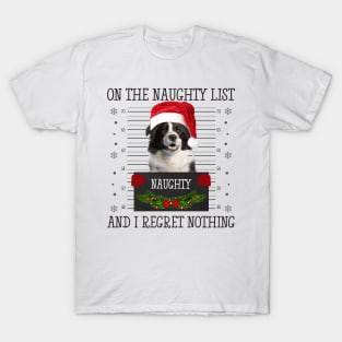 On The Naughty List, And I Regret Nothing T-Shirt